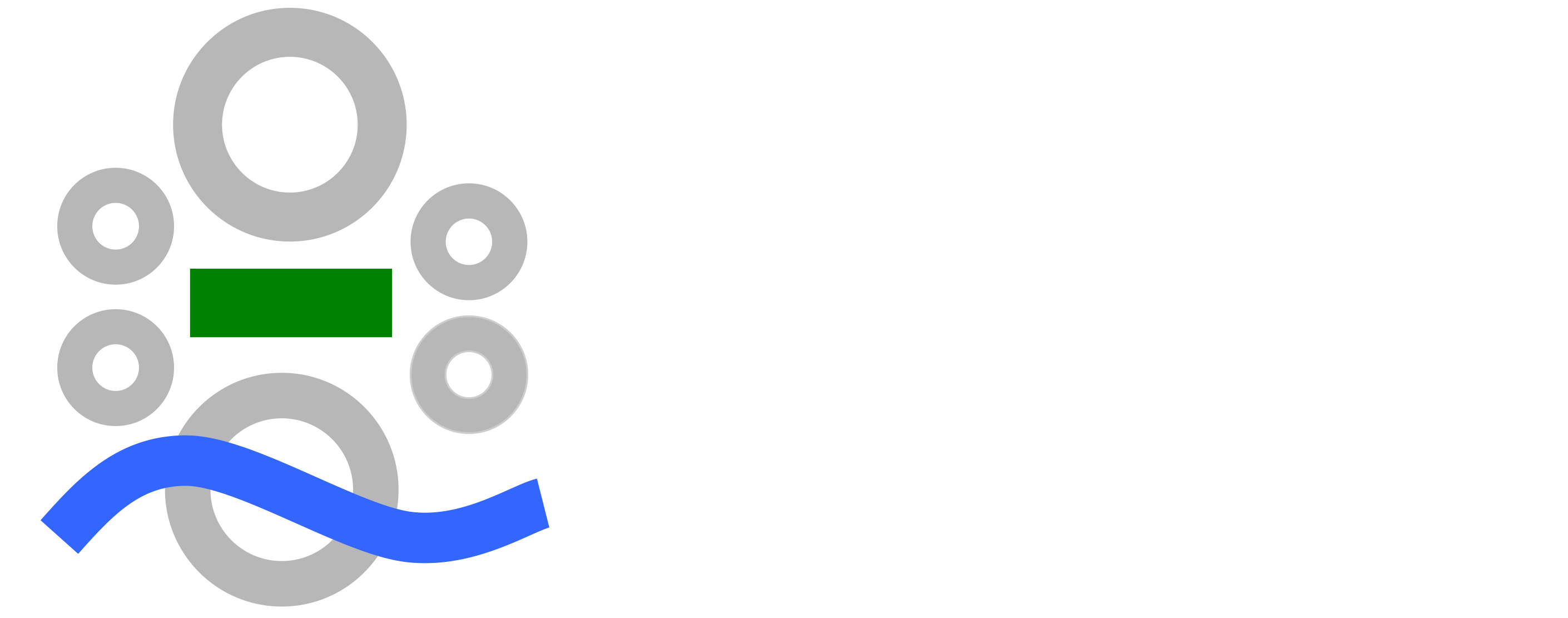 Princeton Future logo 